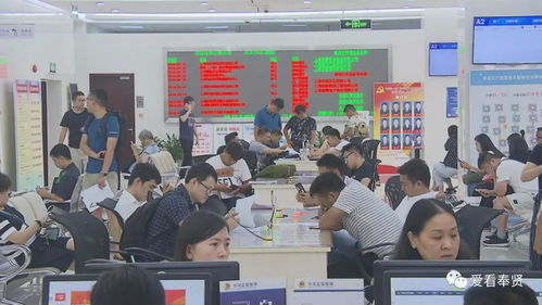 改革開(kāi)放40周年丨一流的營(yíng)商環(huán)境 助力奉賢成為投資熱土 投資咨詢(xún)服務(wù)